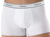 Cueca Boxer Hanes Essentials